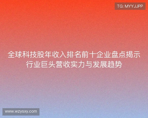 全球科技股年收入排名前十企业盘点揭示行业巨头营收实力与发展趋势